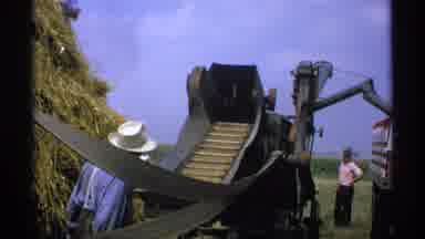 Minnesota (1971): Rural Workers Working Hard In The Heat Harvesting Hay To Stock