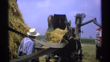 Minnesota (1971): Person Wearing Blue Shirt Pitches Hay Onto Moving Conveyor Belt