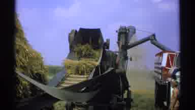 Minnesota (1971): Wheat Farming Prior To Industrial Machinery