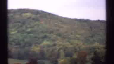 New Hampshire (1971): Big Forest With Trees And House In The Middle Of All Of It