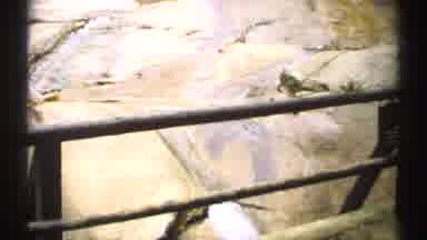 New Hampshire (1971): Rushing River Flowing Through Beautiful Forest And