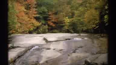 New Hampshire (1971): An Amazing Bridge In The Park Surrounded With Trees