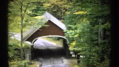 New Hampshire (1971): Colorful Pine Trees Around The City