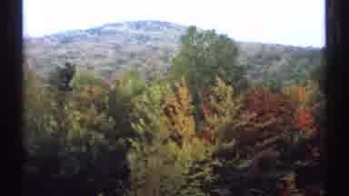 New Hampshire (1971): Green Yellow And Red Trees With A Mountain-View Background