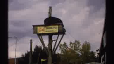 New Hampshire (1971): Bear Lying Down On Top Of Raised Wooden Platform Chewing On