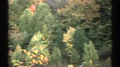 New Hampshire (1971): Trees From Above And A Road Through A Heavily Wooded Area