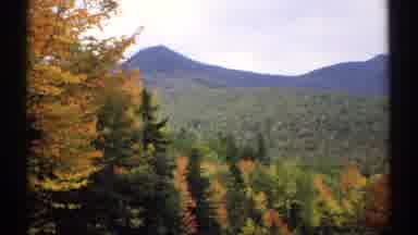 New Hampshire (1971): Colorful Pine Trees And A Mountain