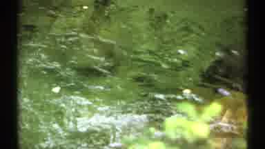 New Hampshire (1971): View Of Running Clear Pond Water On A Sunny Day