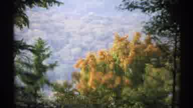 New York (1971): The Video Shows Multicolored Trees Then Cuts To A Building Titled