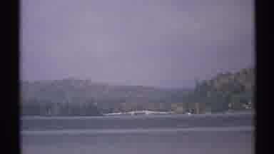 New York (1971): Awesome Beautiful Trees In A Ny Forest
