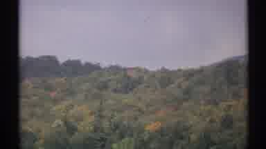New York (1971): View Of Trees Turning Red Yellow And Brown On A Clear Day