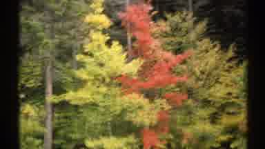 New York (1971): Red Yellow Green In Raquette Lake Park
