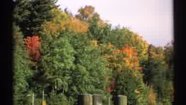 New York (1971): A Natural And Green And Colorful Trees Around The Park And Its
