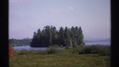 New York (1971): A Beautiful City View Shows The Place And Green Trees And Lot Of