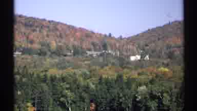 New York (1971): Variety Of Trees With Different Colors During Fall