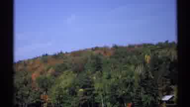 New York (1971): A Shot Of Colorful Trees Around The City