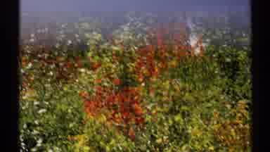 New York (1971): Fall Forested Area By A Lake With A Large House And Chimney