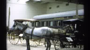 New York (1971): View Of White Horse Attached To Black Buggy Inside Showroom