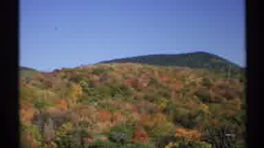 New York (1971): Red And Orange Trees With A Mountain View