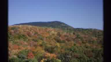 New York (1971): A Wonderful And Great Looking Colorful Trees Out There In The