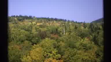 New York (1971): A Place With Green And Colorful Trees Around