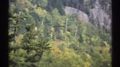 New York (1971): Green Big Trees At The Mountainside