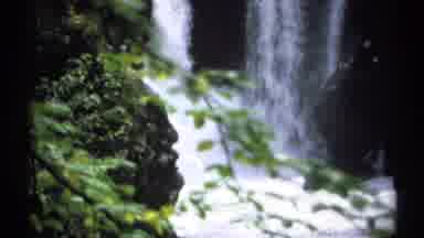 New York (1971): Waterfalls And An Old Bark Of A Tree