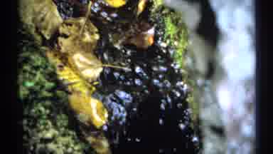 New York (1971): Camera Captures The Water Flowing Down The Rocks From Melting