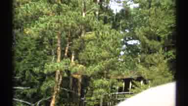 New York (1971): Trees With A Tree House Then Boat On Shimmery Lake