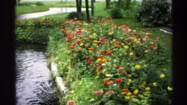 Rollag Minnesota (1971): A Park That Is Full Of Flowers And Green Lawn