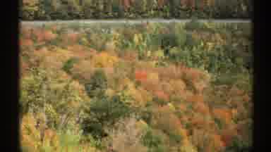 Vermont (1971): View Of Trees Turning Red Yellow Orange And Brown