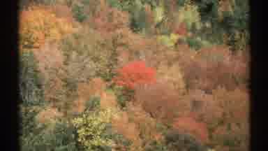 Vermont (1971): Autumn Foliage And View From A Car As It Drives Down A Rural Road