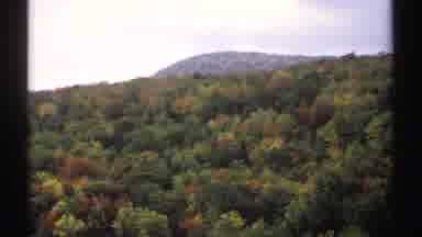 Vermont (1971): The Beauty Of Trees During An Autumn Season