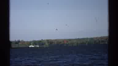 Wisconsin (1971): On A Boat In The Middle Of The Water And Enjoying A Beautiful