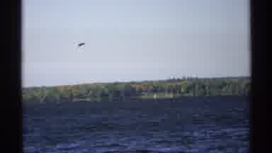 Wisconsin (1971): A Beautiful Lake In The Middle Of A City