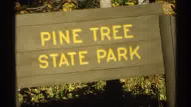 Wisconsin (1971): A Place Was Good To See With Colorful Trees And Plants
