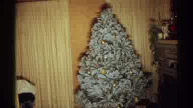 Wisconsin (1971): Christmas Trees Both Inside A Living Room And Outside Someone's