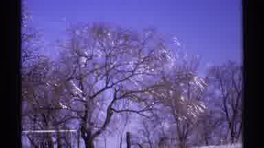 Wisconsin (1971): One Tree That Blow In The Wind When The Sun Illuminate Him
