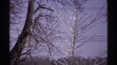 Wisconsin (1971): Ice Covered Trees Spackle In The Sunlight On A Winter Day