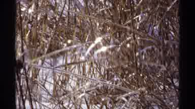 Wisconsin (1971): A Snow Place Which Give A Lot Of Satisfaction Anyone