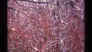 Wisconsin (1971): A Dry Grass Around A Huge Snow Field And With Different The