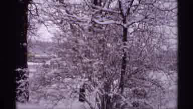 Wisconsin (1971): A Tree And The Full City Was Covered By Big Amount Of Snow And