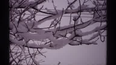 Wisconsin (1971): A Small Figurine Of A House Covered In Snow