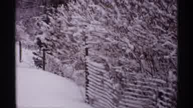 Wisconsin (1971): View Of Snow Covered Trees And Fence On A Clear Winter Day