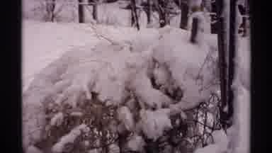 Wisconsin (1971): Taking A Walk In Winter Wonderland