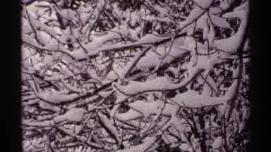 Wisconsin (1971): Trees And Road Covered In Heavy Snow In Winter Near The Road