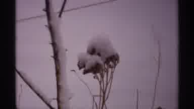 Wisconsin (1971): A Snow Area And The Place Were Been Covered With Lots Of Snow