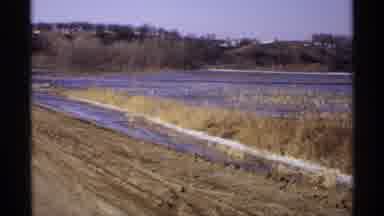Wisconsin (1971): View Of Lake And Grass During Drought Season On A Sunny Day