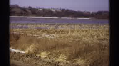 Wisconsin (1971): The Video Shows A Grassy Area Next To A Body Of Water With Trees