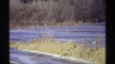 Wisconsin (1971): Meandering Stream In The Wetlands